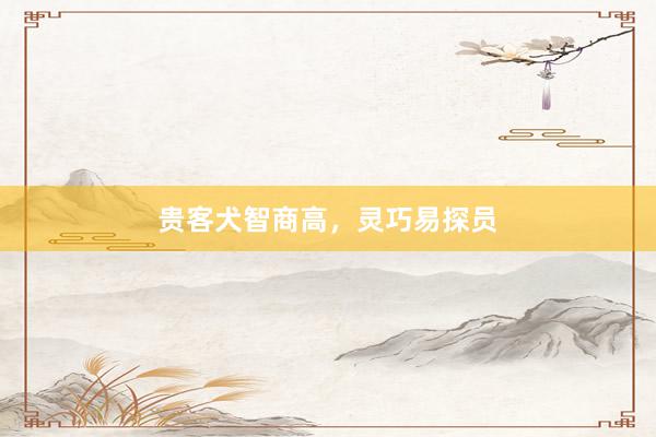 贵客犬智商高，灵巧易探员