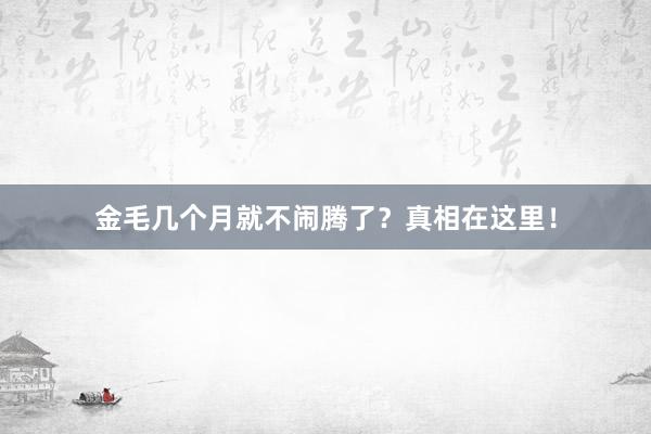 金毛几个月就不闹腾了？真相在这里！